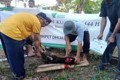 WhatsApp-Image-2023-07-01-at-10.11.28-2